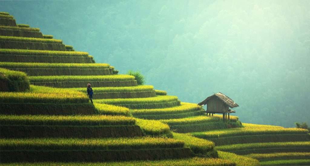 paket liburan murah ke bali