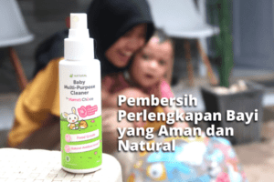 pembersih perlengkapan bayi