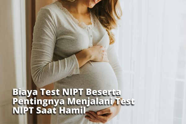 Biaya Test NIPT Beserta Pentingnya Menjalani Test NIPT Saat Hamil