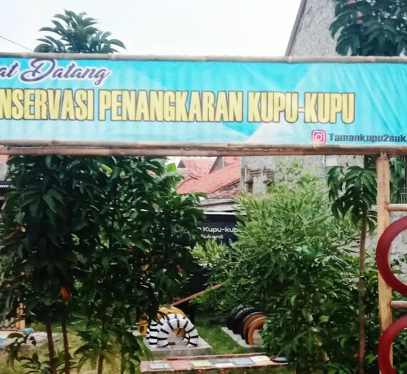 Ahmad Yunus, Pejuang Konservasi Kupu-Kupu